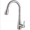 Vòi rửa chén Eurogold EVF119MR